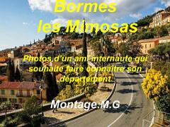 183 D25 BORMES LES MIMOSAS 3_000001
